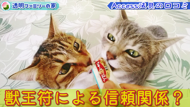 【幻獣符】獣王・ベヒモスの威厳